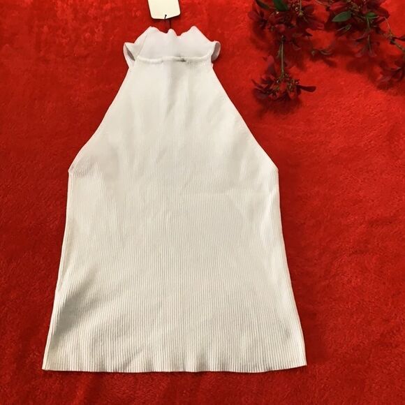 ✨nwt Zara Sleveless Ribbed Knit Mock Neck Top✨ - Picture 6 of 6